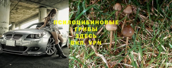 ECSTASY Бородино