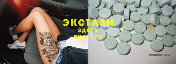 ECSTASY Бородино