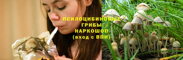 ECSTASY Бородино
