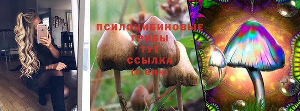 стаф Бронницы