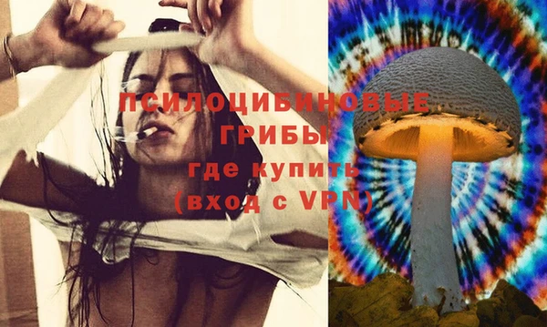 ECSTASY Бородино