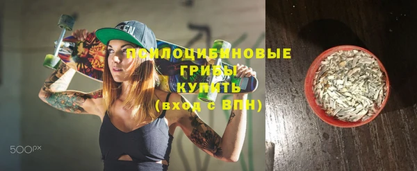 стаф Бронницы