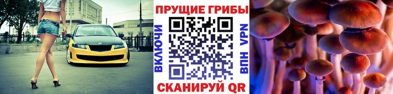Галлюциногенные грибы ЛСД Губкин